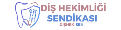 DişHek-Sen Footer Logo
